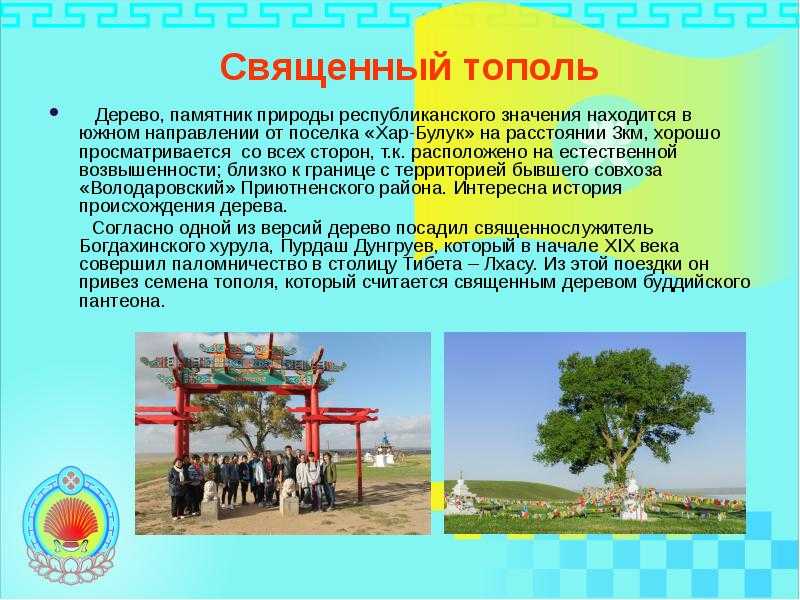 Формирование системы управления регионом