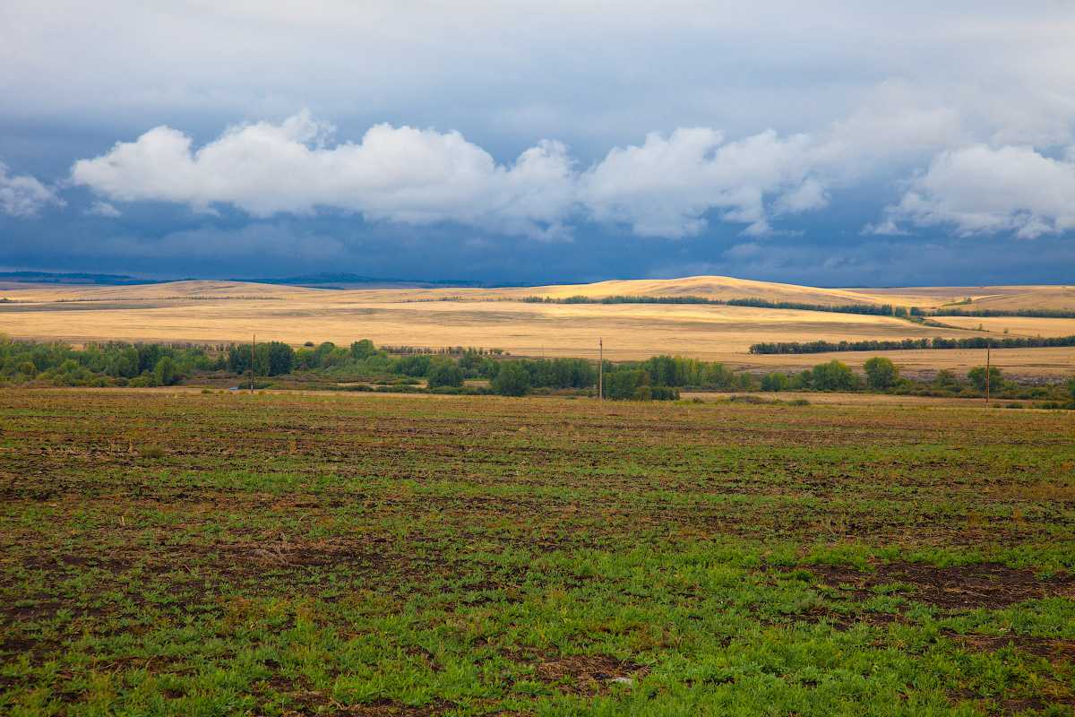 Криоксерофильная степь