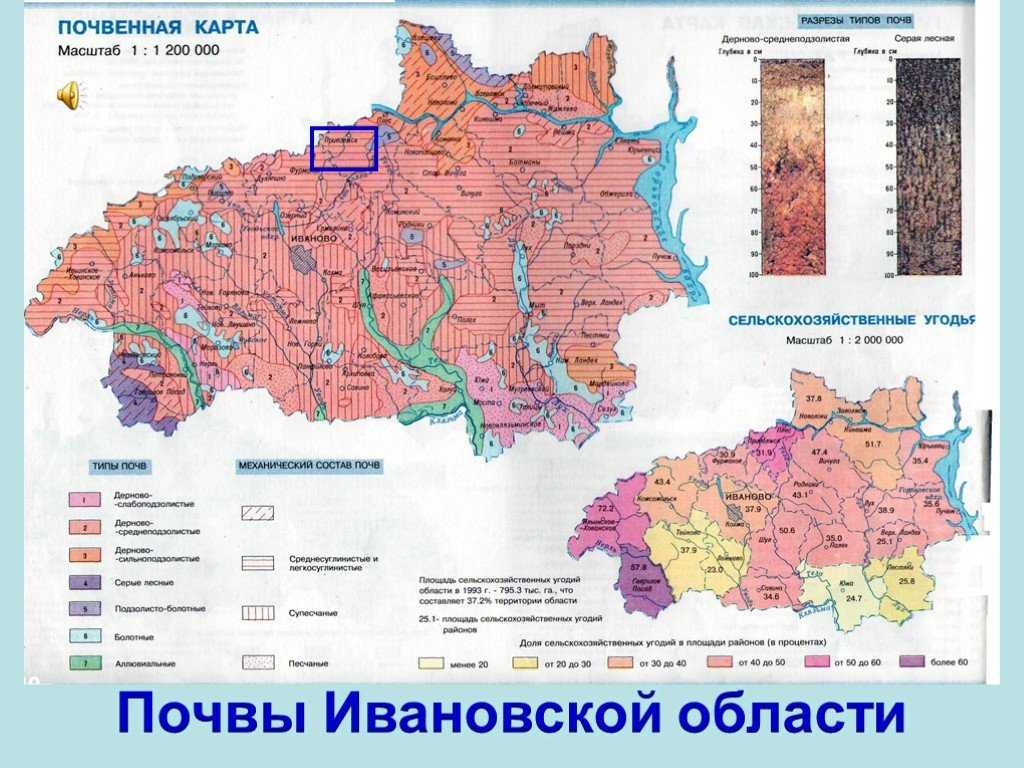 Ивановская область. где отдохнуть, что посмотртеть