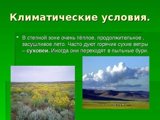 Степи: расположение, климат, животный мир