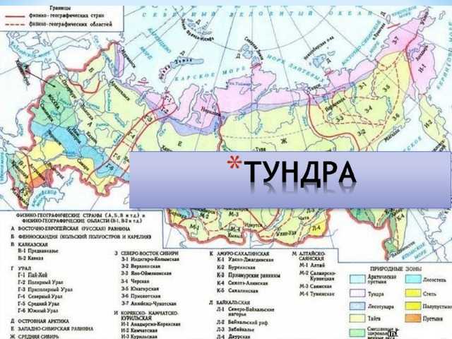 Безлесные природные зоны арктики и субарктики - справочник для студентов и школьников