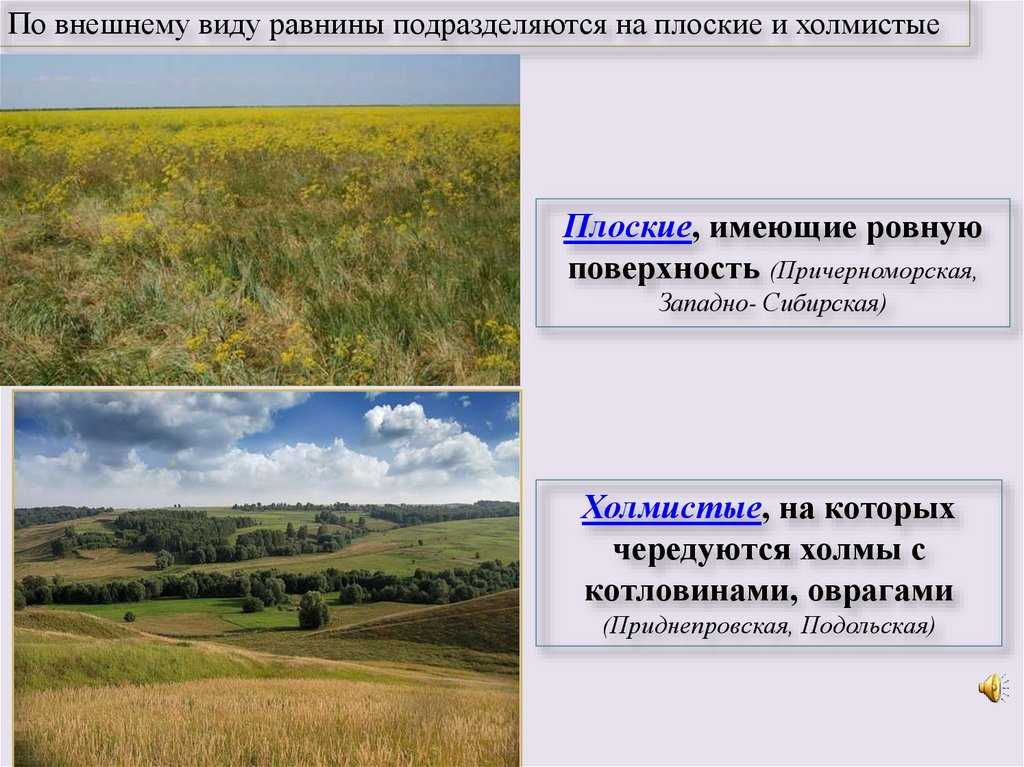 Что такое равнина: характеристики и виды