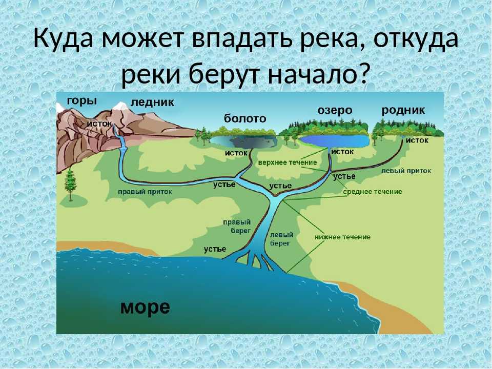 Климатические особенности реки волга: подробная характеристика