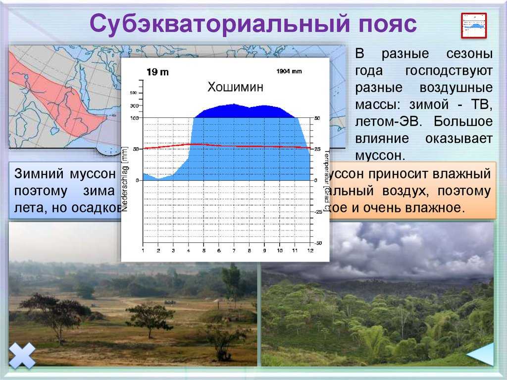 Типы климата субэкваториального и экваториального поясов Евразии 1 Типы климата субэкваториального пояса Субэкваториальный пояс характерен для Южной и