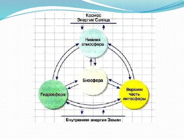 Биосфера - определение, состав, свойства, границы