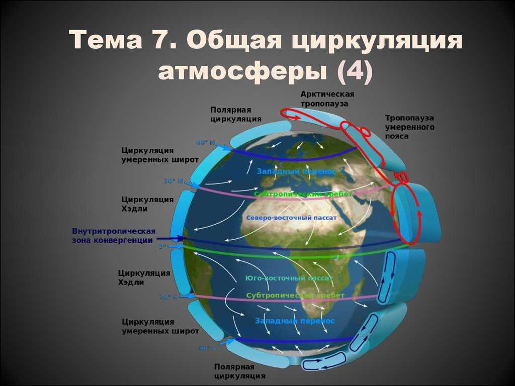 Климат евразии. география 7 класс. домогацких