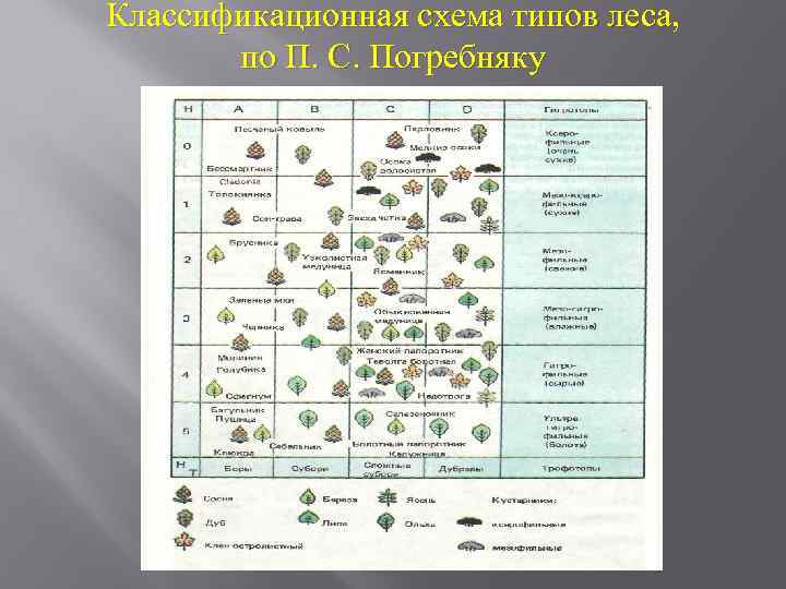 Условные знаки для топографической карты масштаба 1:10000