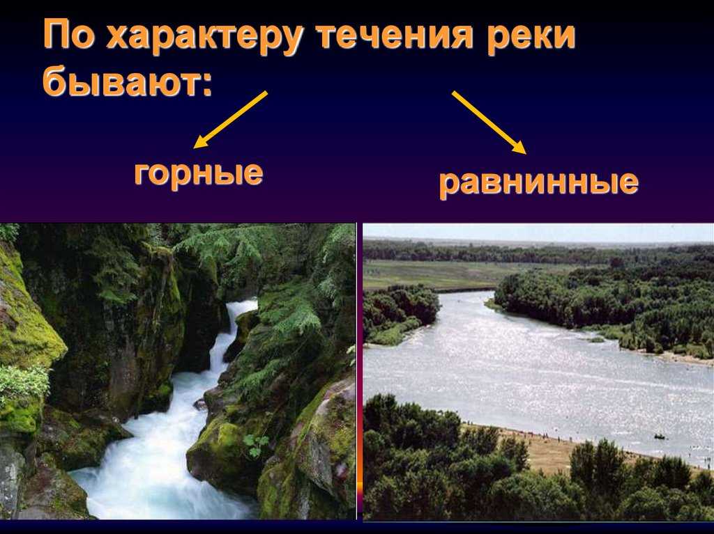 Что такое река - исток, устье, притоки, режим реки, общая характеристика