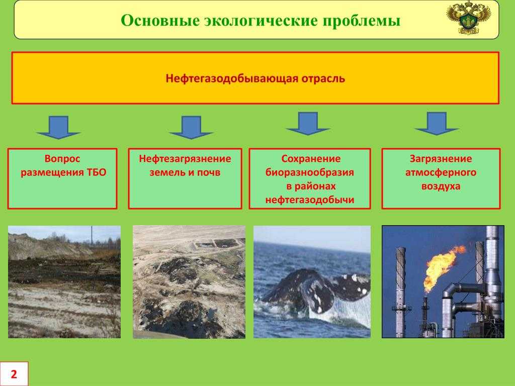 Хозяйственная деятельность человека в предгорной и горной части краснодарского края 7 класс презентация, доклад, проект