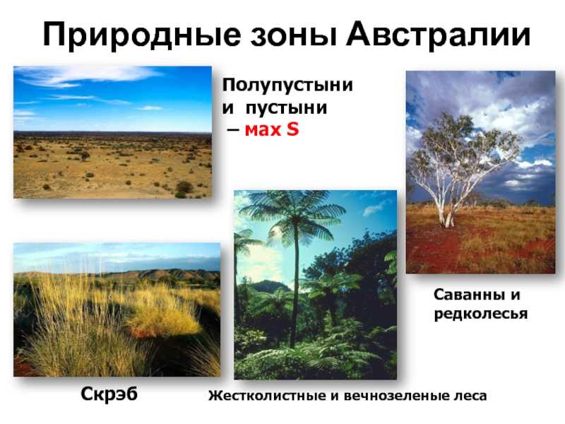 Какие природные зоны есть в австралии — описание, климат, почвы, животные и растения