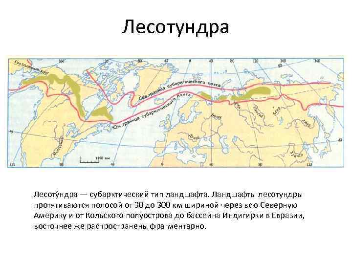 Природные зоны