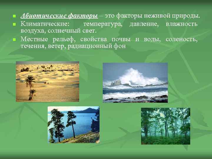 Экологические факторы Экологическими факторами называют любые внешние факторы, оказываю¬щие прямое или опосредованное влияние на численность обилие и