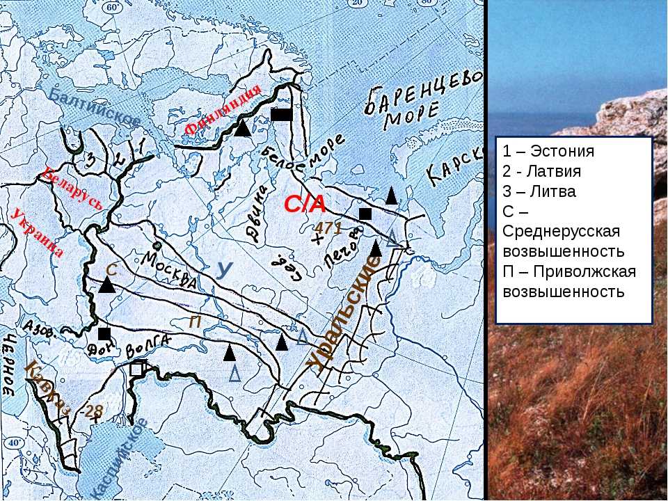 Среднерусская возвышенность ️ географическое положение, общая характеристика, структура и строение рельефа, максимальная абсолютная высота, полезные ископаемые, климат и природа