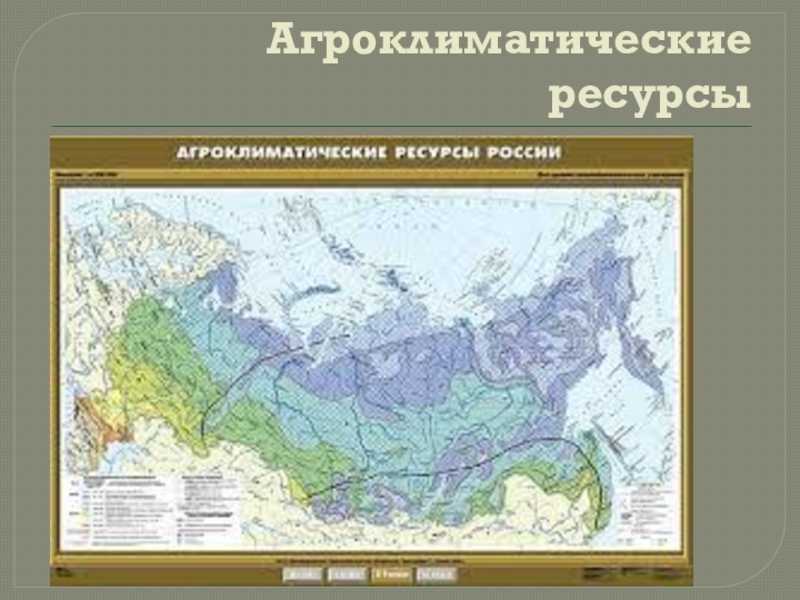 Климат липецкой области сообщение