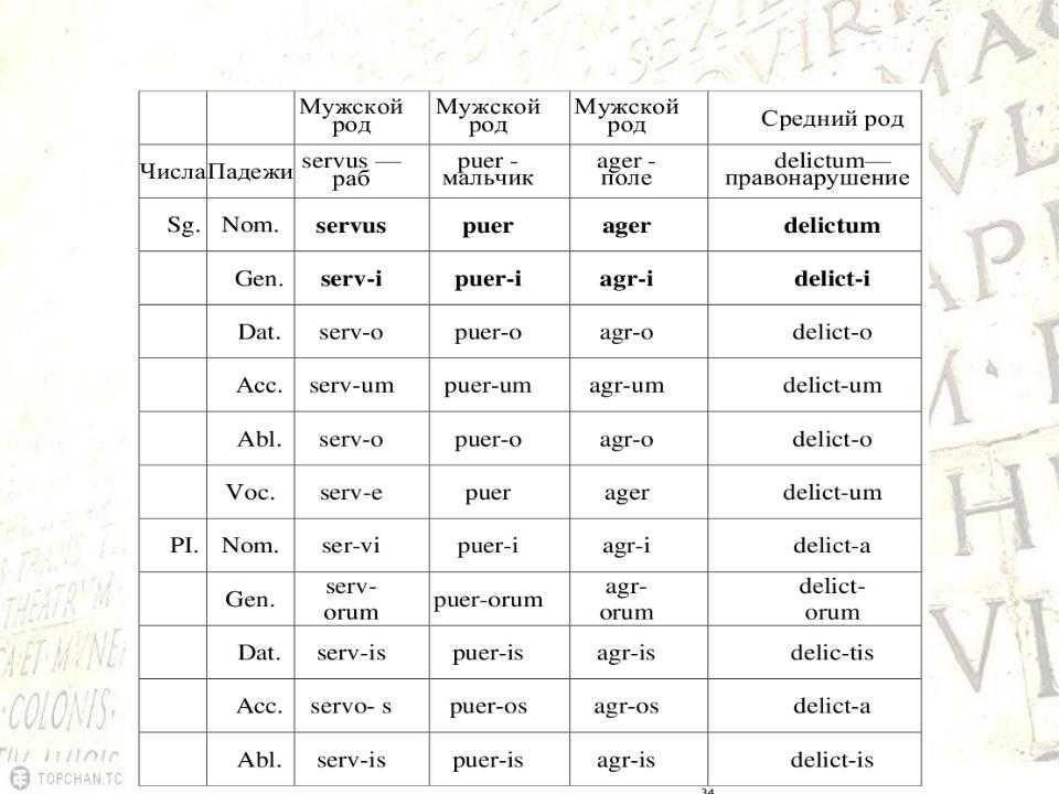 Латинский алфавит и произношение
