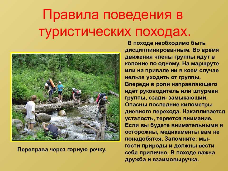 Ленинградская область — россия — планета земля