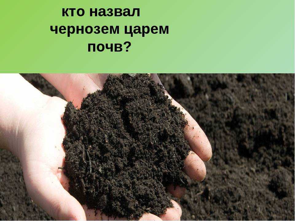 Почвы очень бедные либо вообще не формируются. Почва чернозем. Черноземные почвы. Плодородие чернгхемы почв. Виды почв чернозем.