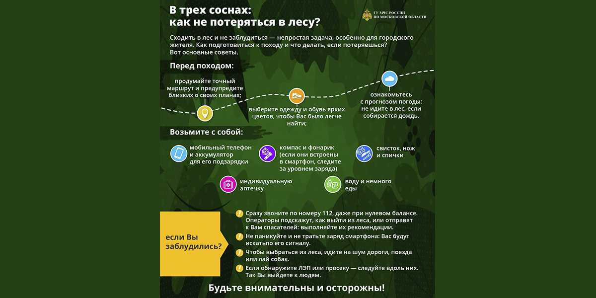 3 лучших приложения для пеших прогулок, чтобы найти тропы, записаться в походы и не заблудиться - zanz