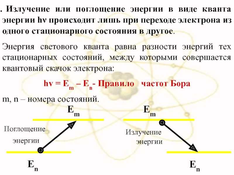 Функции живого вещества в биосфере (роль)