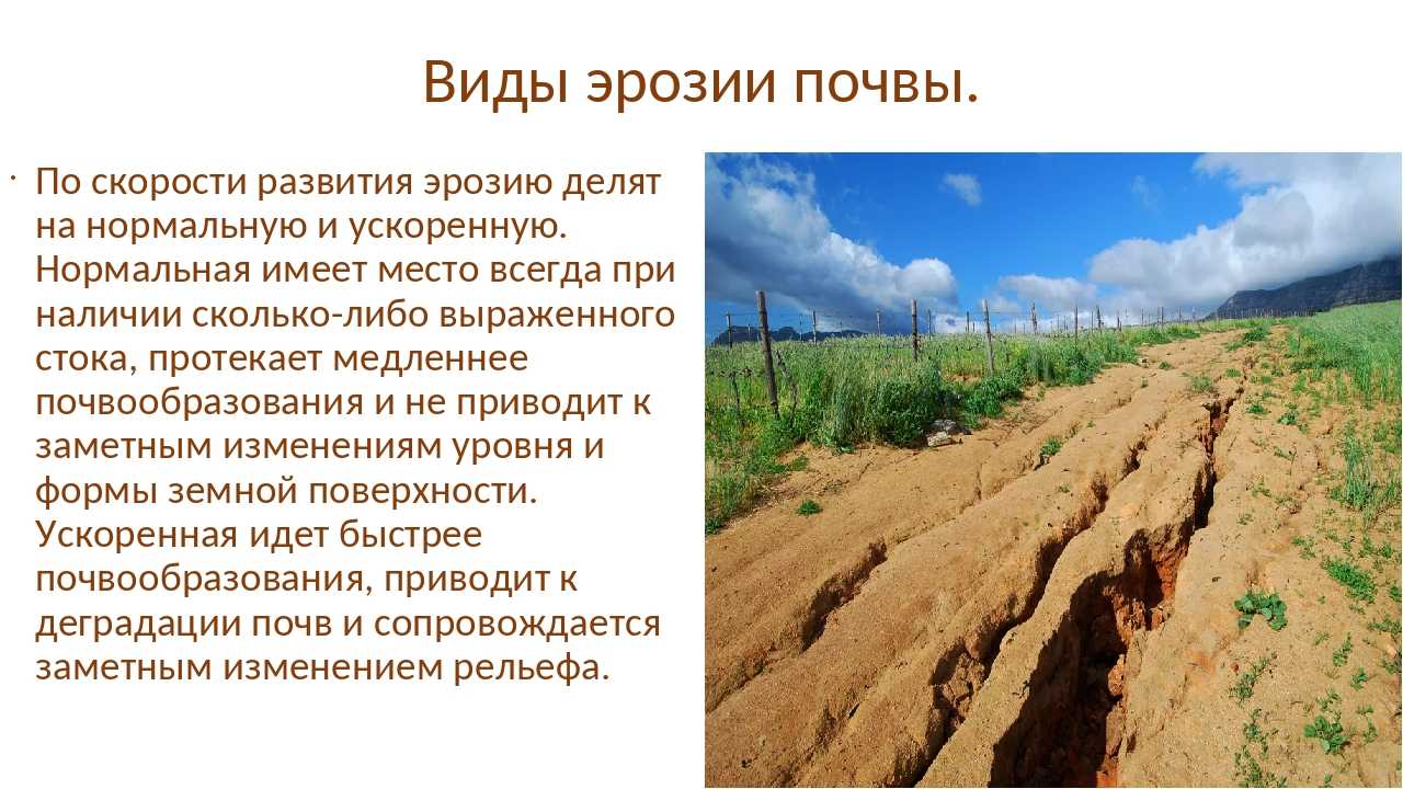 Причины изменения почв. Эрозия почвы. Эрозионные процессы почв. Ветровая эрозия почв. Разрушение почвы.