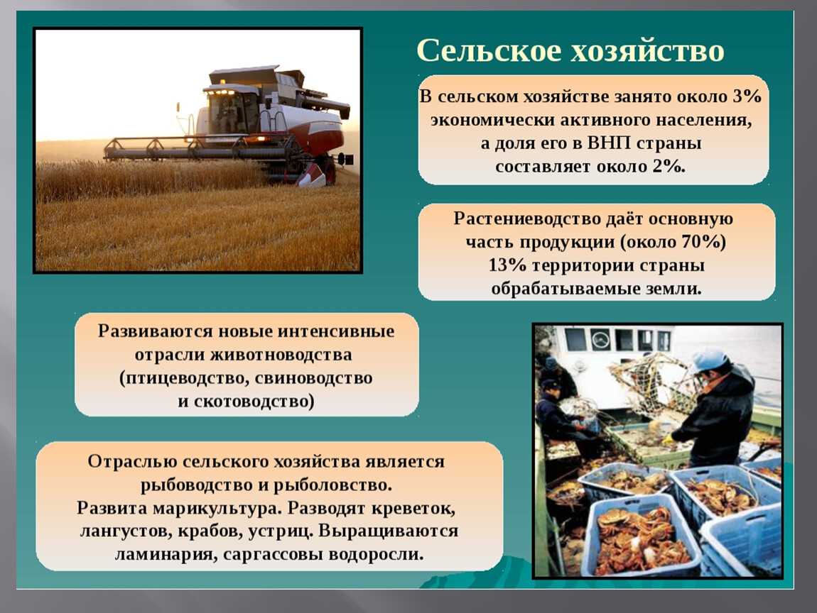 Узнать код окато организации по инн