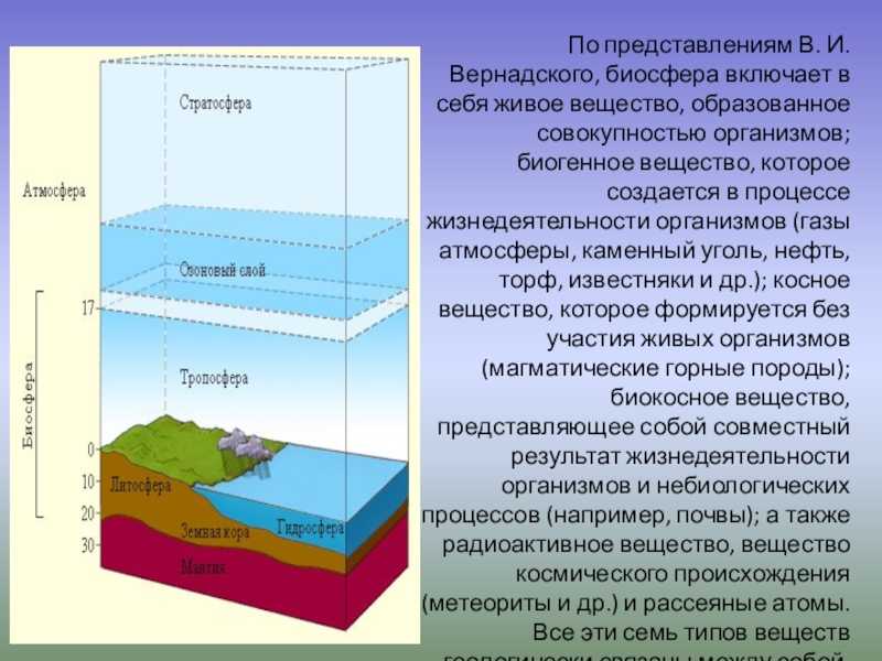 Урок 7: биосфера - 100urokov.ru