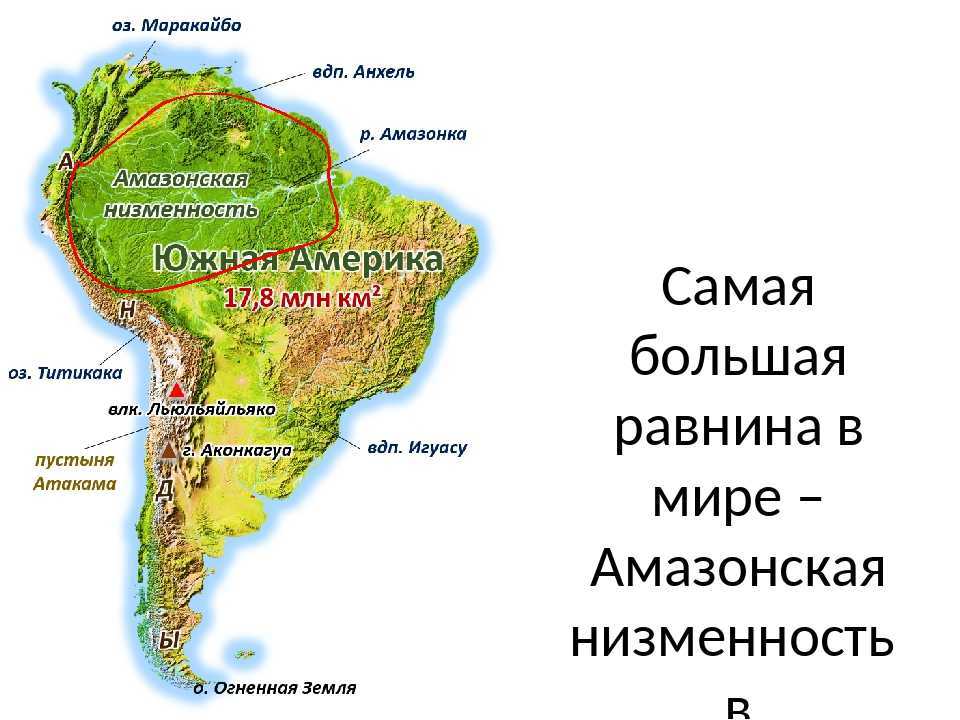 Амазонская низменность – где находится равнина, ее координаты, особенности рельефа, протяженность кратко