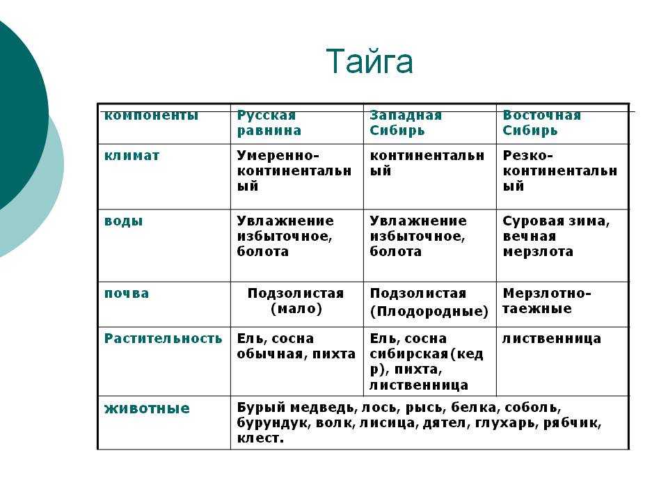 Природные зоны россии — список, описание, климат, почвы, животные и растения