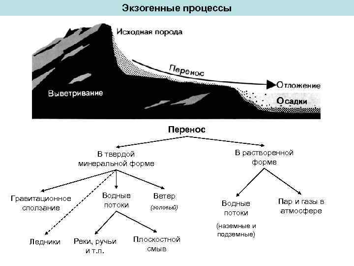 Формы рельефа и силы, формирующие рельеф. эндогенные процессы, формирующие рельеф неотектонические движения - плавные вертикальные движения крупных участков. - презентация