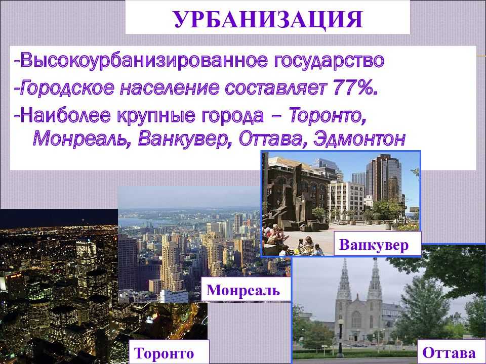 Население канады: численность, плотность, состав, статистика
