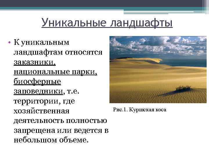 Географическая оболочка