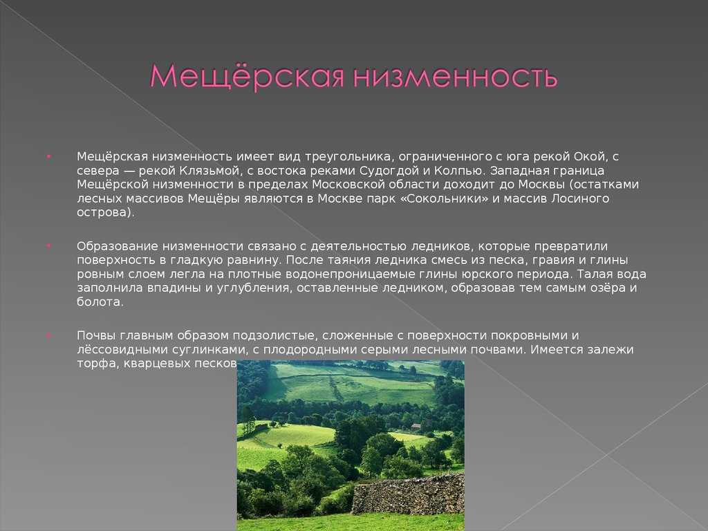 Поверхность нашего края краткое описание. "поверхность нашего края". урок по окружающему миру (4-й класс). как можно использовать заброшенный карьер