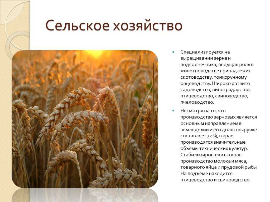 Ставропольский край