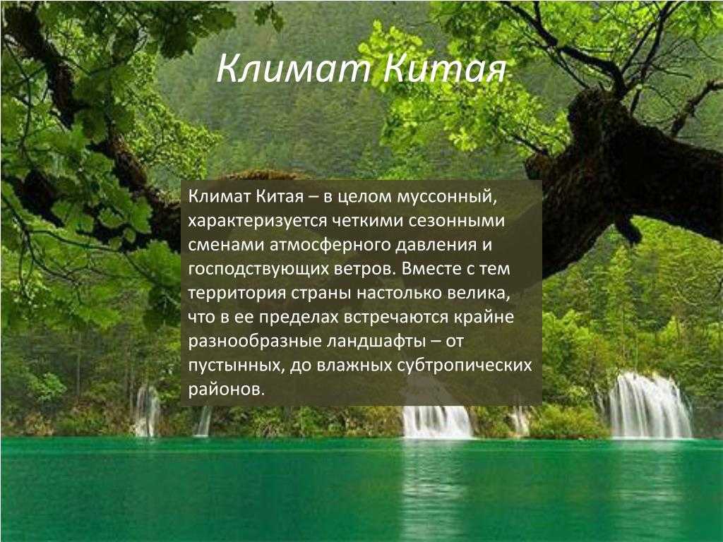 Культура древнего китая - история развития, интересные факты