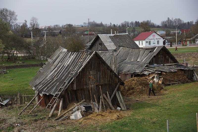 Глухой лес: что это значит и какие его особенности?