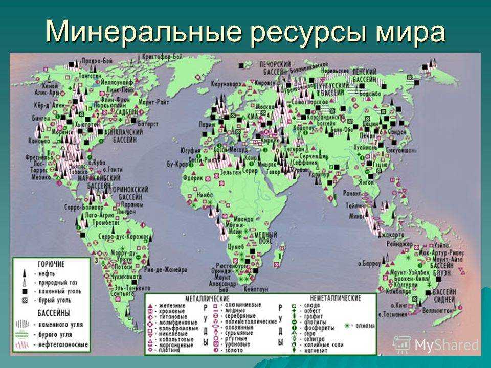 Сирия - древо