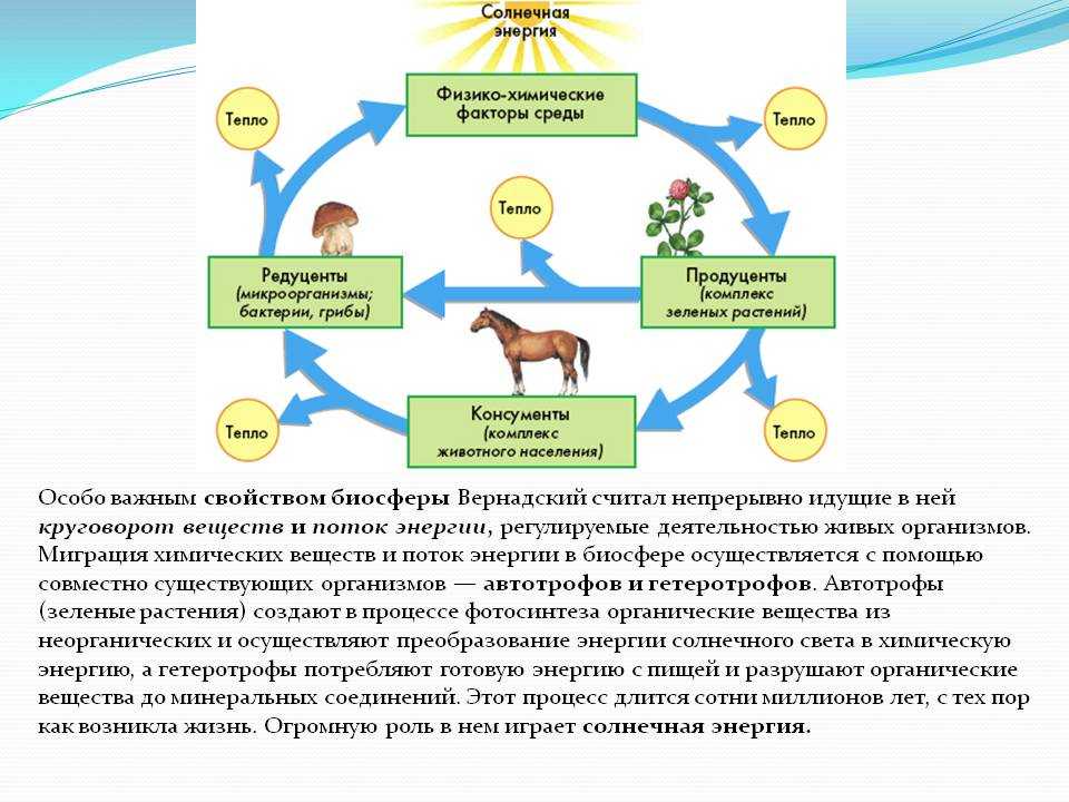 Экология