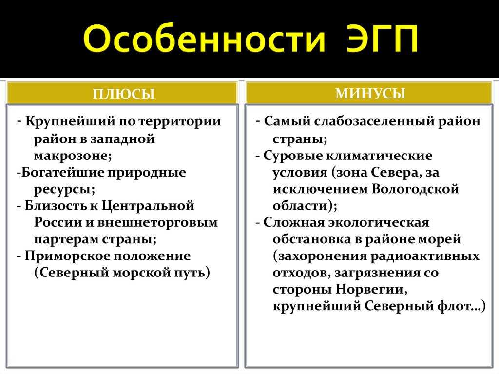 Эгп  юар: основные черты кратко, особенности и характеристика, плюсы и минусы