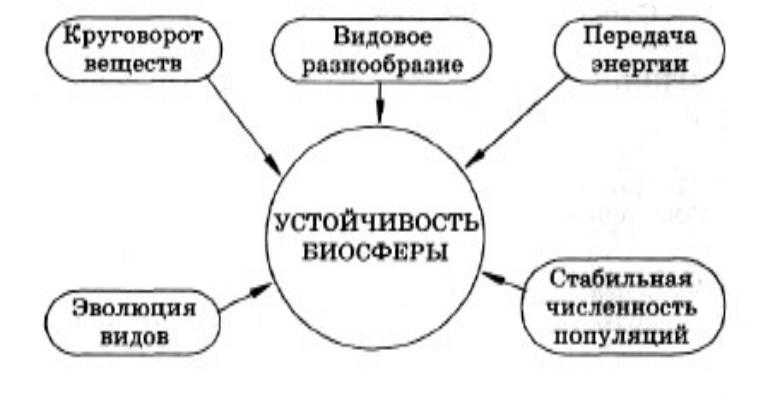 Условия устойчивости, стабильности биосферы