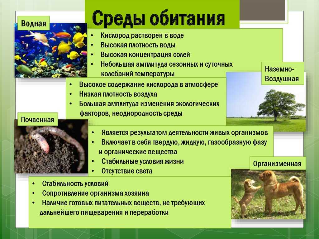 Природный ландшафт: характеристики, элементы, примеры - наука - 2023