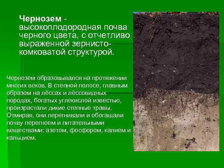 Центрально-черноземный ⭐️ район: климат, рельеф, природа и ресурсы региона