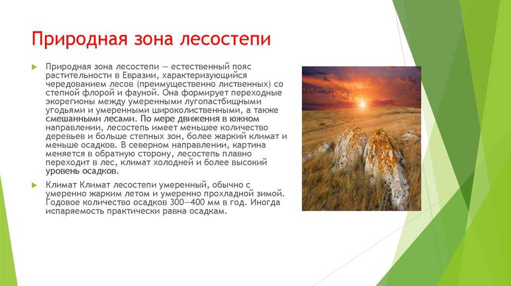 Лесостепные зоны • большая российская энциклопедия - электронная версия