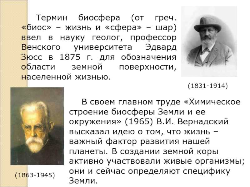 Учение  вернадского о биосфере: основные положения теории, структура и состав