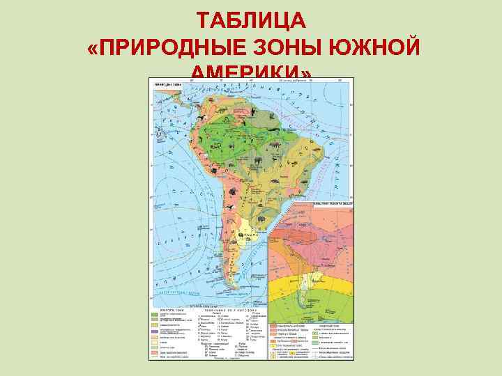 Основные особенности природных зон бразилии кратко. Карта природных зон Южной Америки. Карта природных зон Южной Америки 7 класс география. Атлас 7 класс география Южная Америка природные зоны. Географические пояса и природные зоны Южной Америки.
