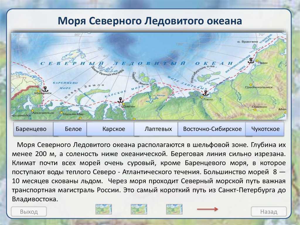 Урок 4: моря, омывающие россию - 100urokov.ru