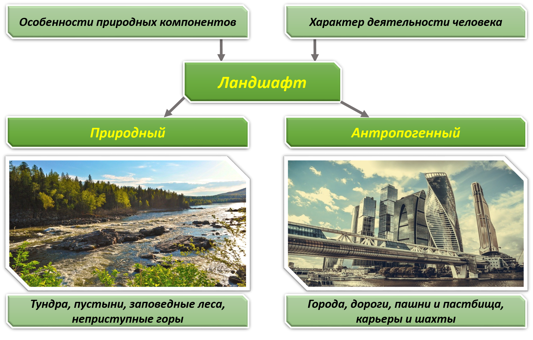 Ландшафт: естественный, антропогенный, культурный — основные типы и их свойства