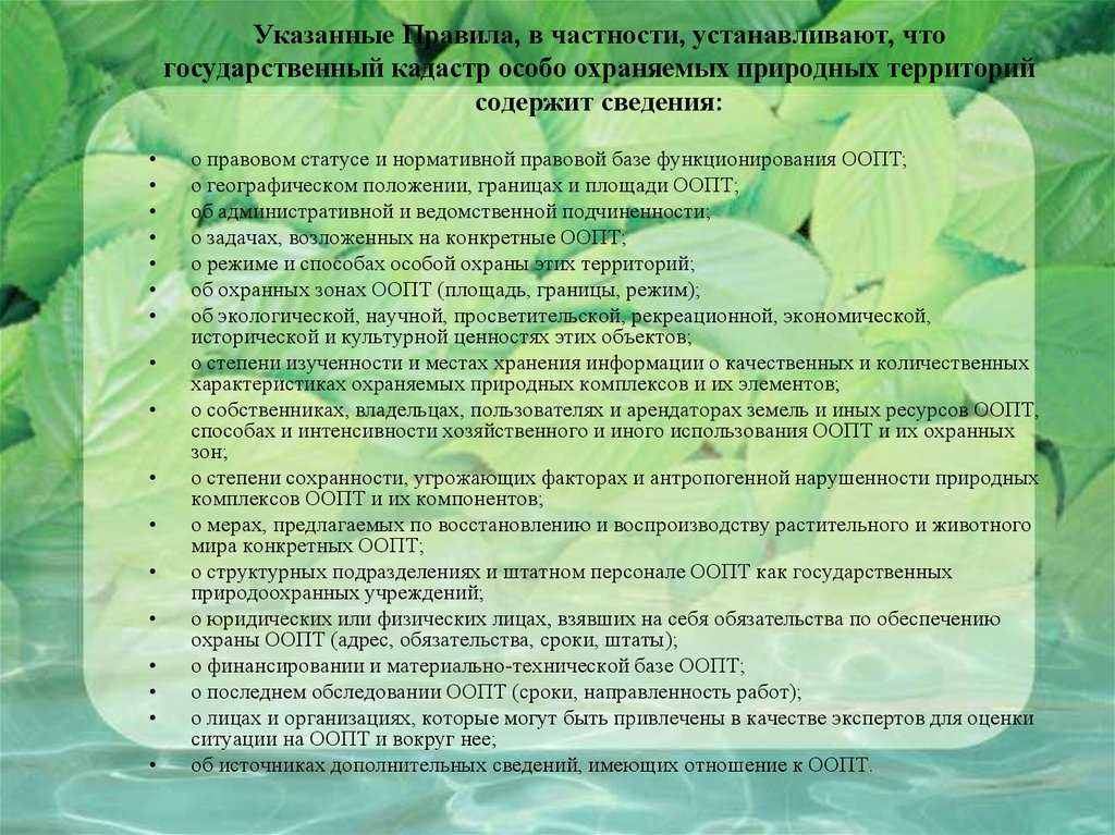 Ведение кадастра особо охраняемых природных территорий: правила и порядок