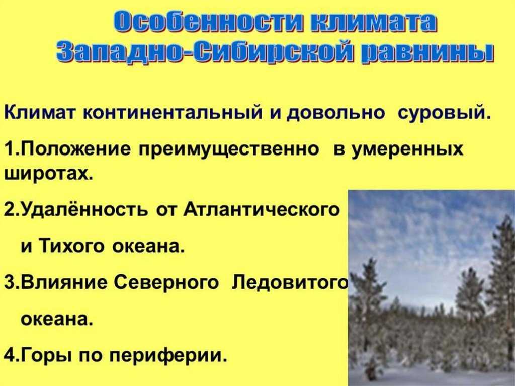 Какой тип климата характерен для сибири. Климат Западно сибирской равнины. Особенности Западно сибирской равнины. Западно Сибирская равнина особенности природы презентация. Особенности климата Западно сибирской равнины.