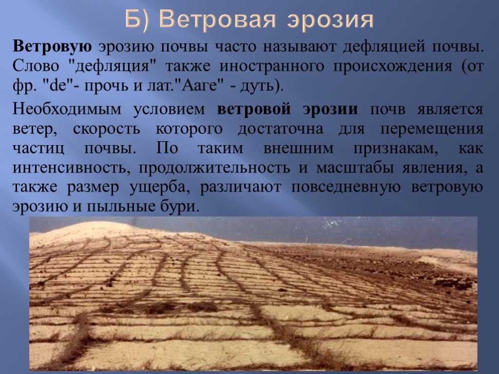 Подвергаются эрозии. Ветровая эрозия (дефляция) почв. Ветровая эрозия. Дефляция почв.