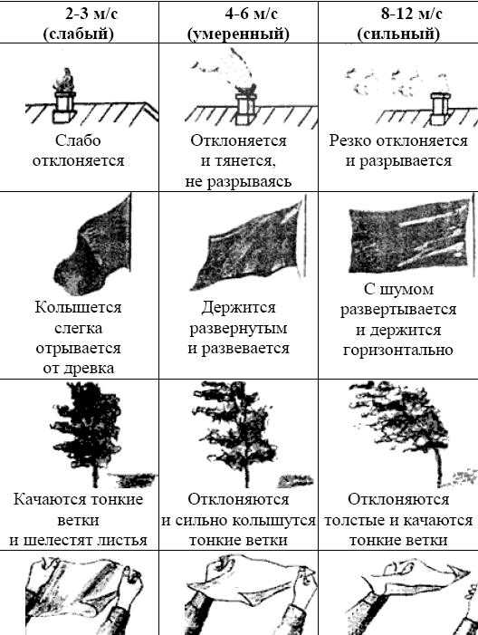 Как оценить силу ветра?